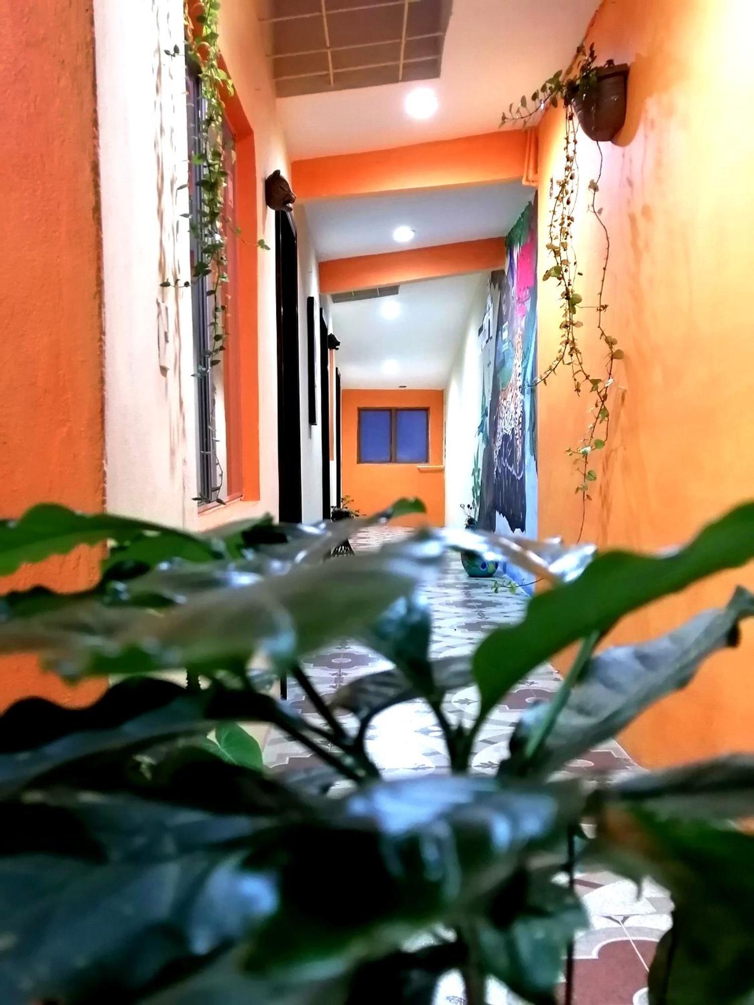 Hotel Amayal San Cristobal de las Casas Luaran gambar