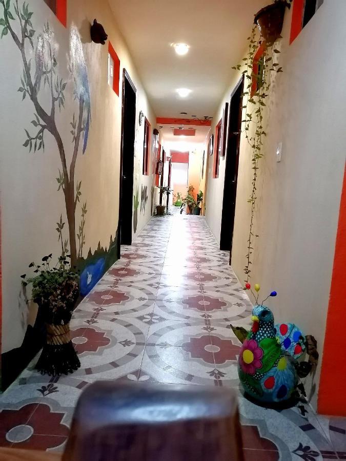 Hotel Amayal San Cristobal de las Casas Luaran gambar
