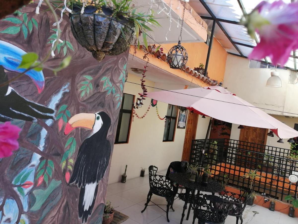 Hotel Amayal San Cristobal de las Casas Luaran gambar