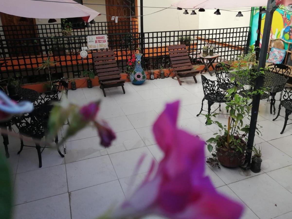 Hotel Amayal San Cristobal de las Casas Luaran gambar