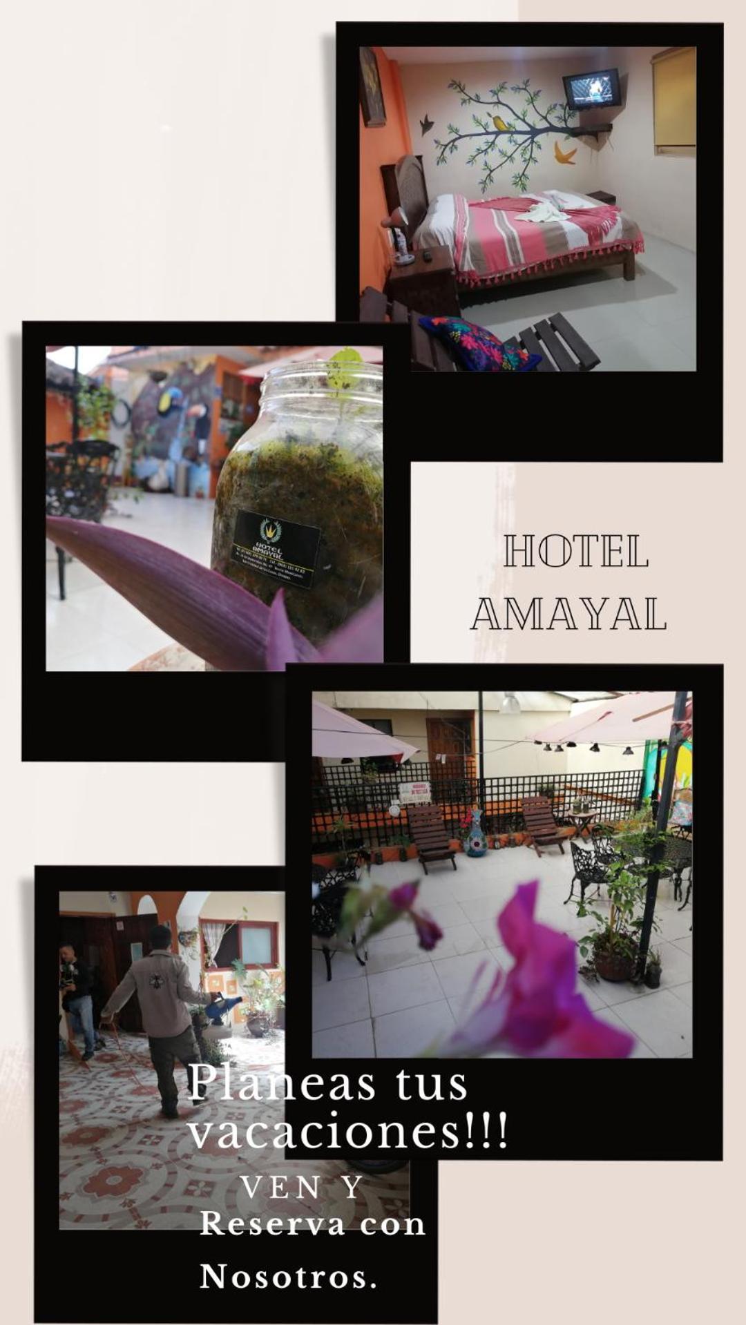 Hotel Amayal San Cristobal de las Casas Luaran gambar